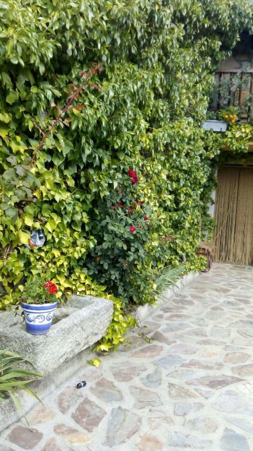 La Luciernaga Country house *