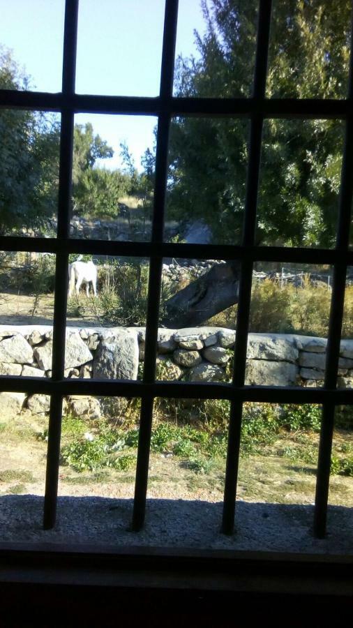 Country house La Luciernaga